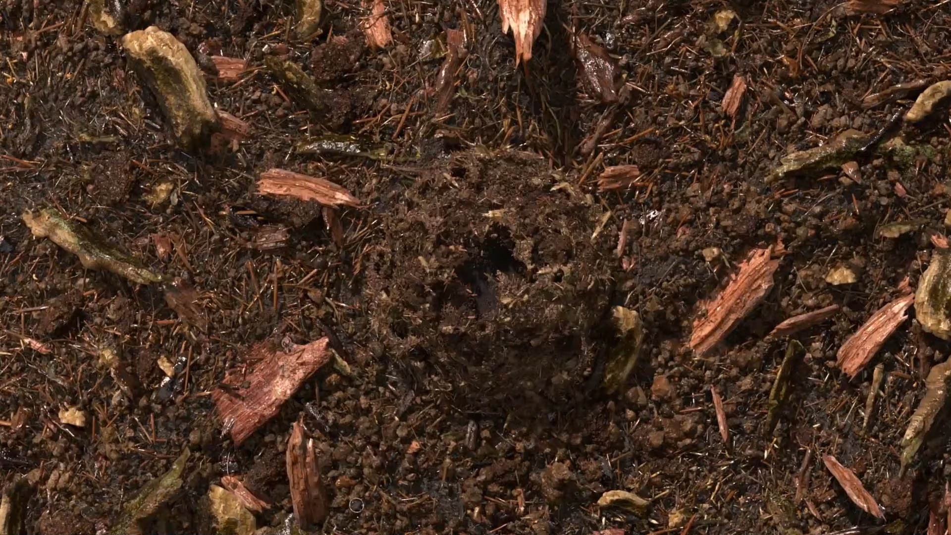 composted soil