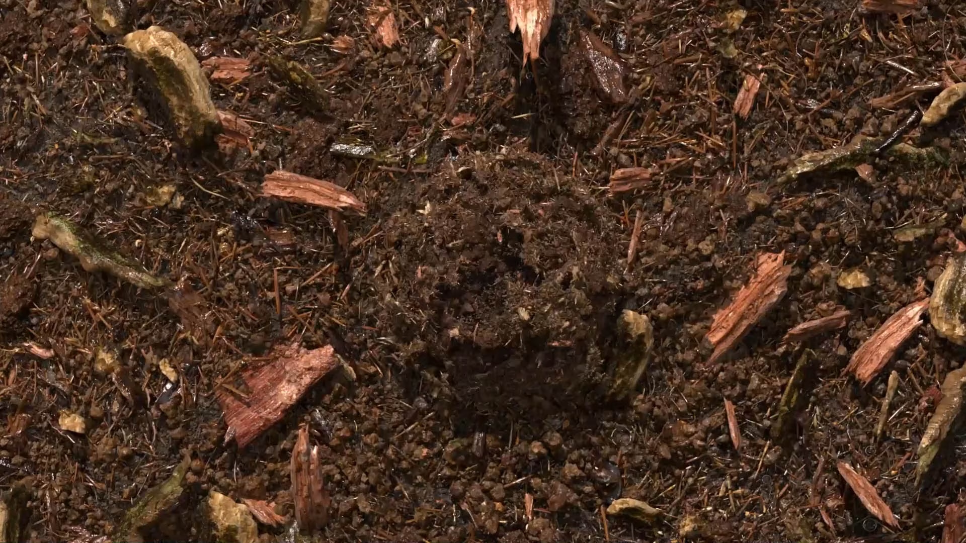 composted soil