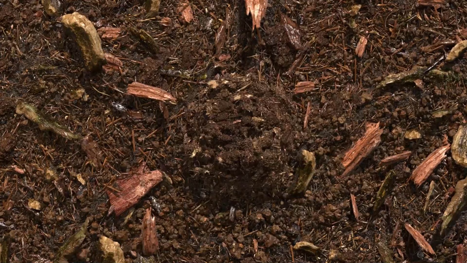 composted soil