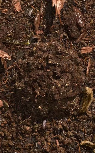 composted soil