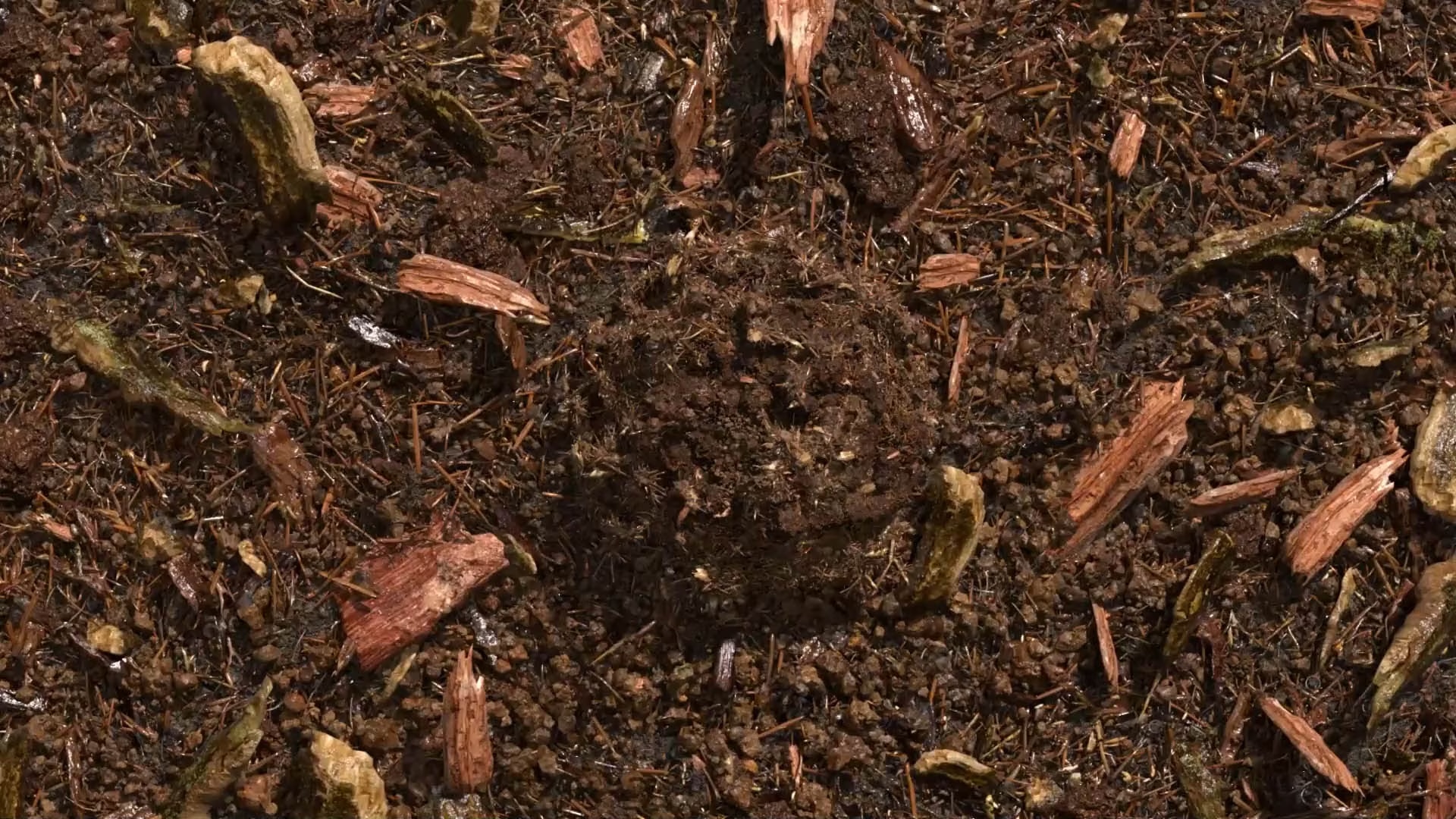 composted soil