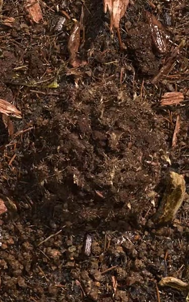 composted soil