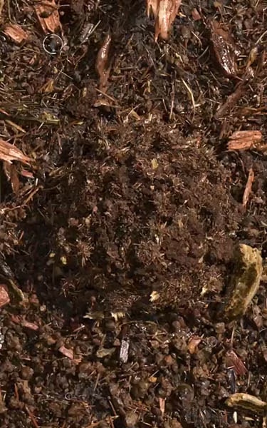 composted soil