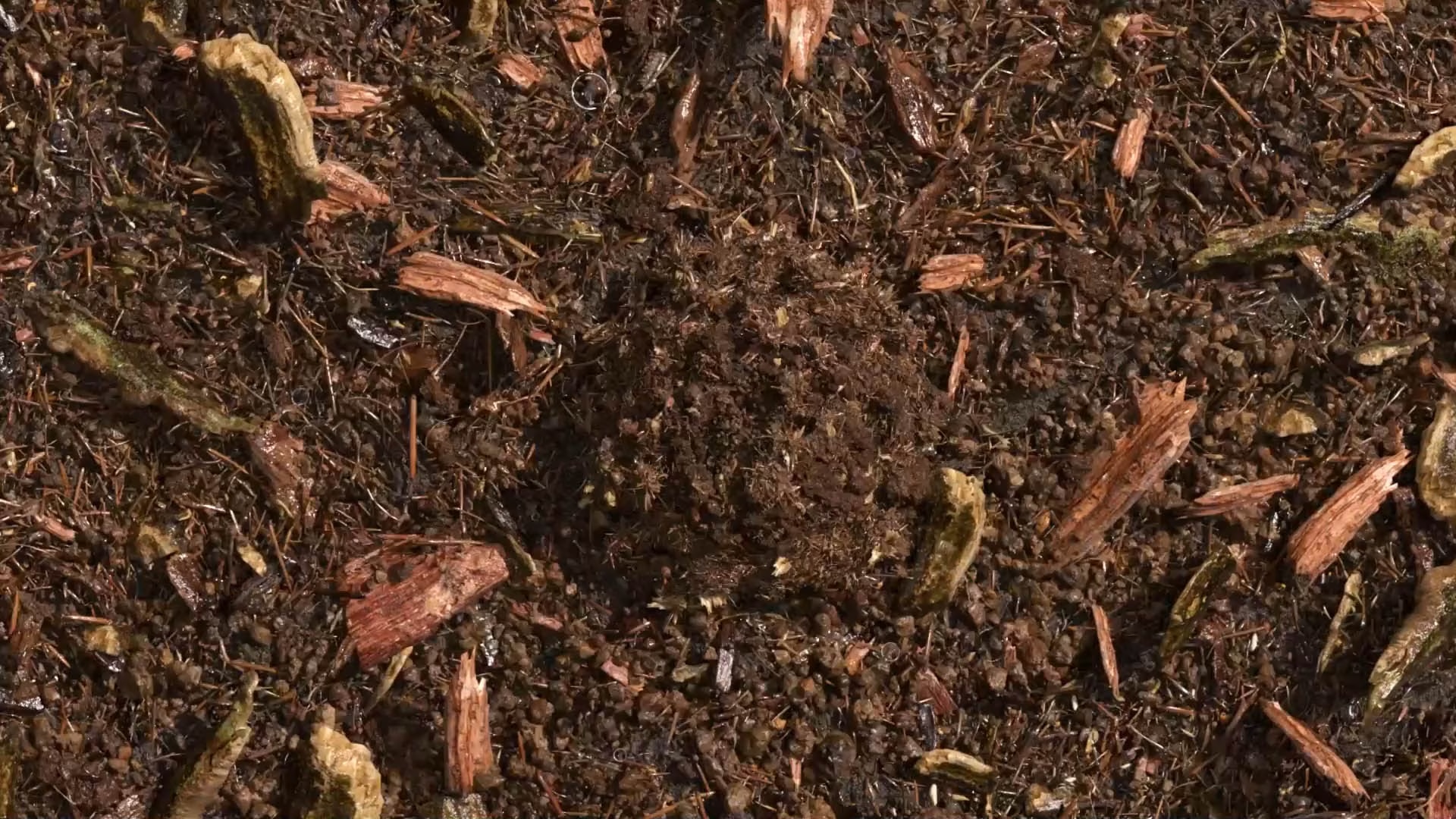 composted soil