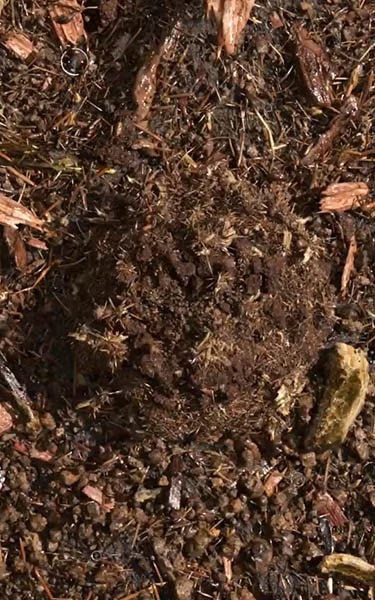 composted soil