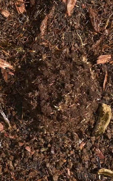 composted soil