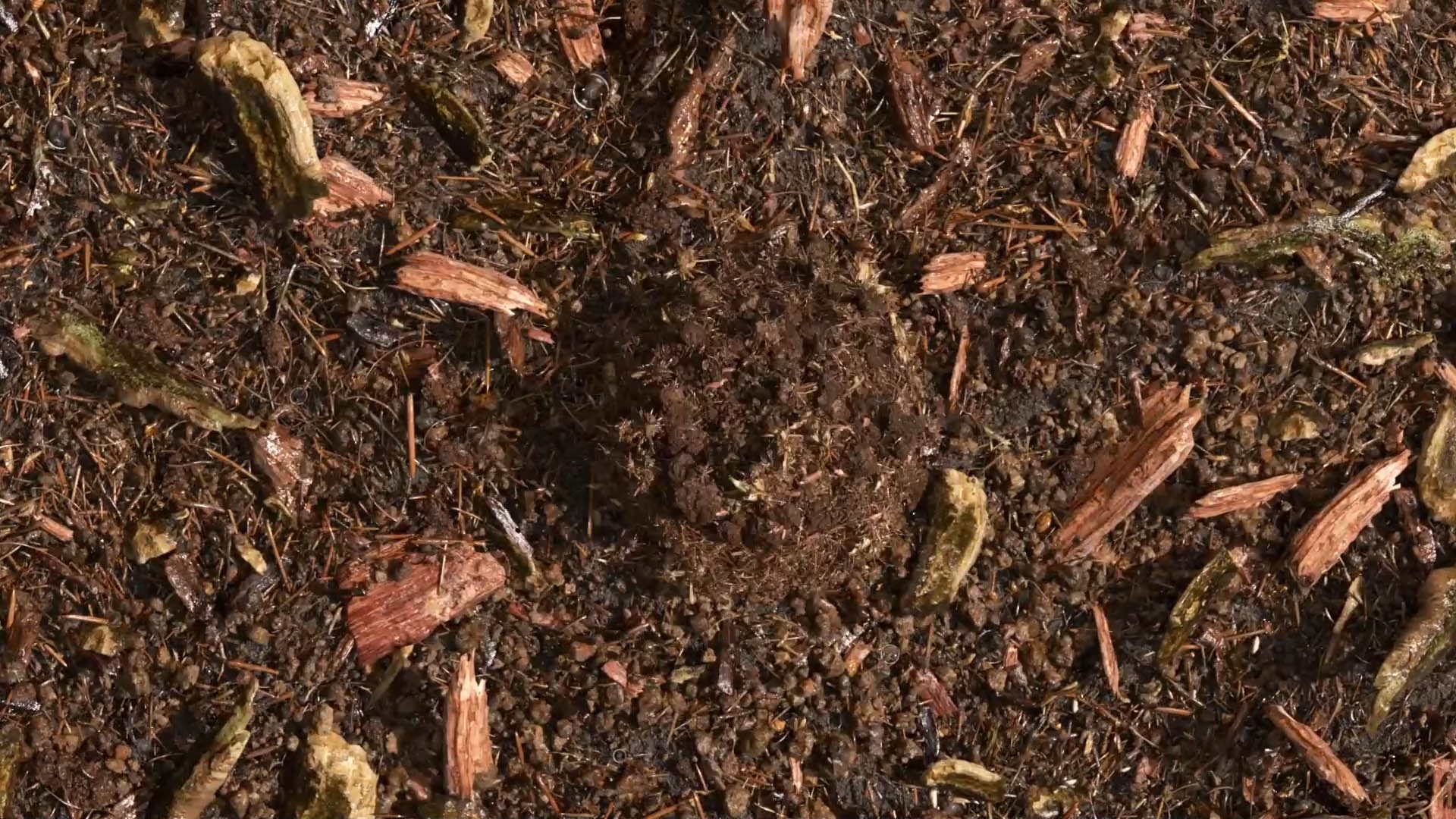 composted soil