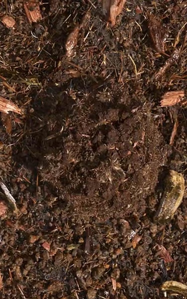 composted soil