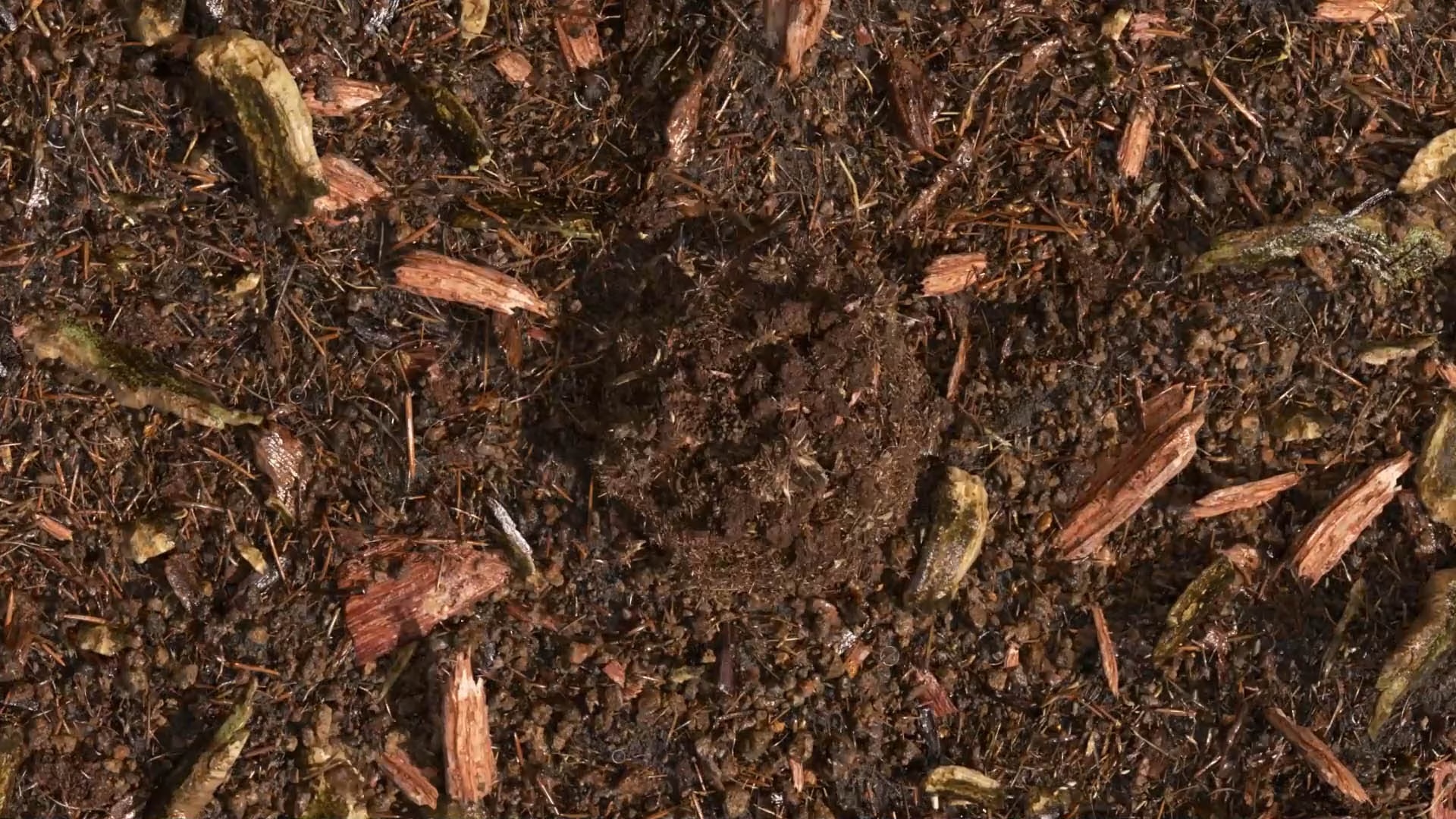 composted soil