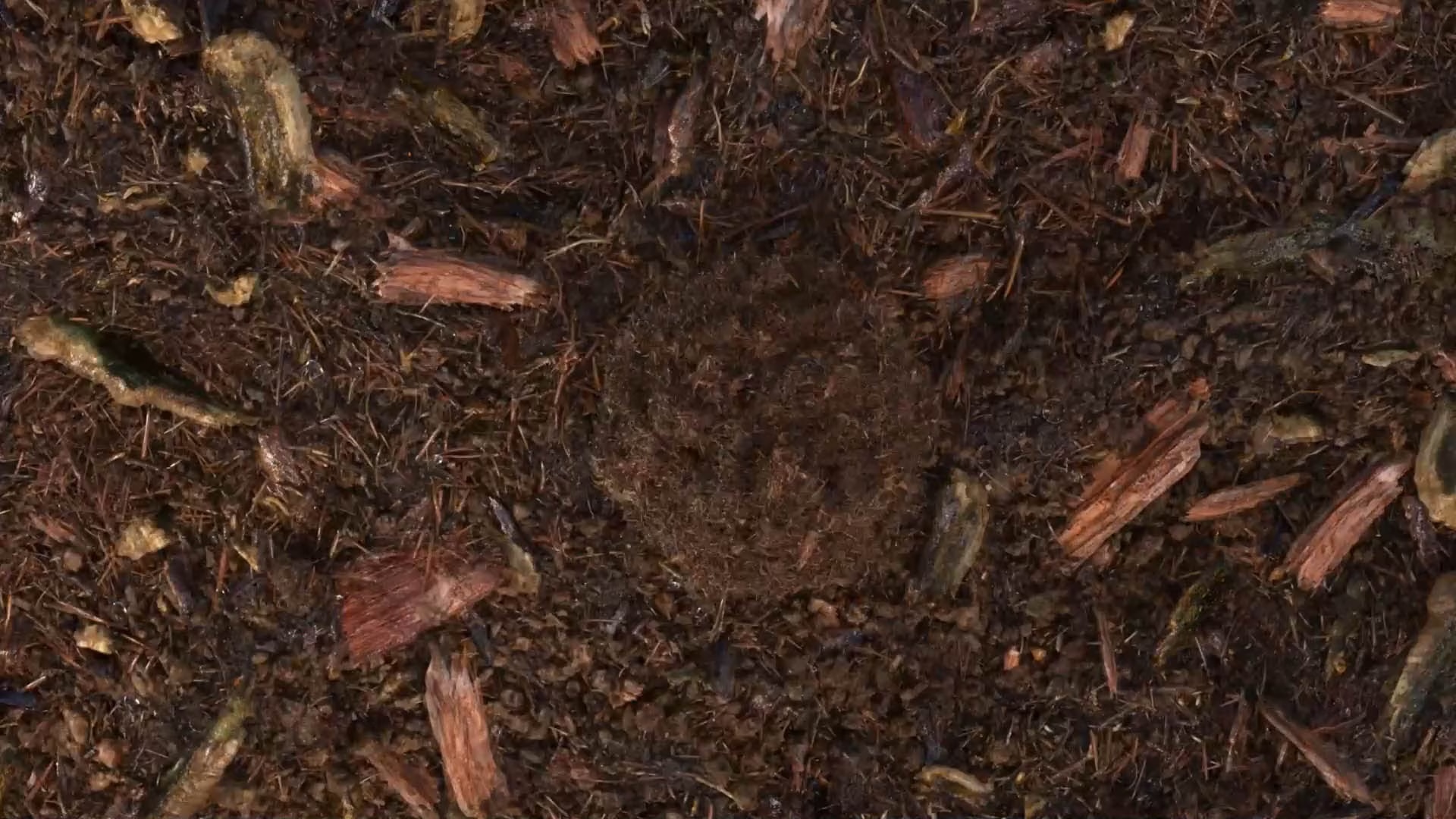 composted soil