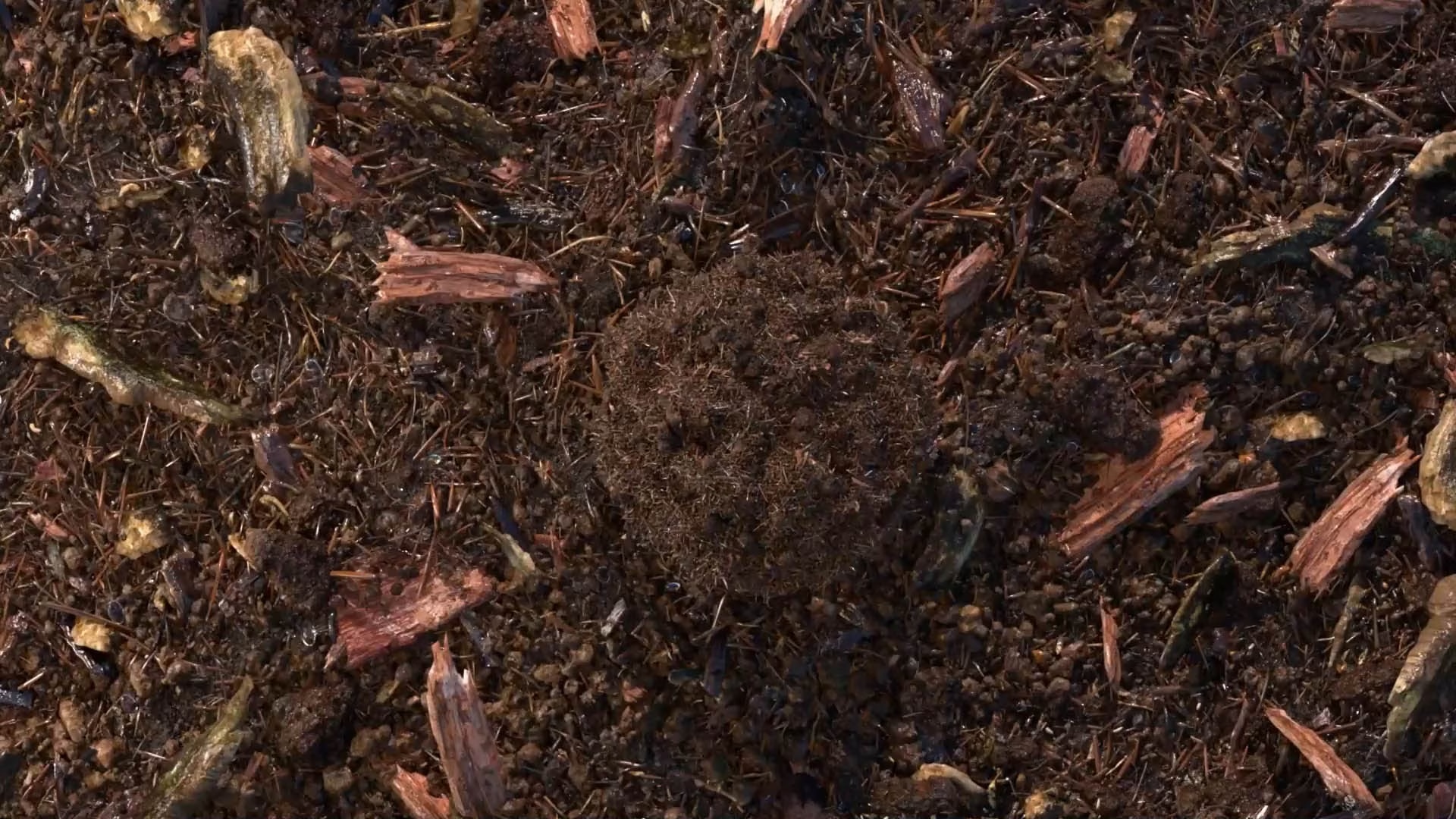 composted soil