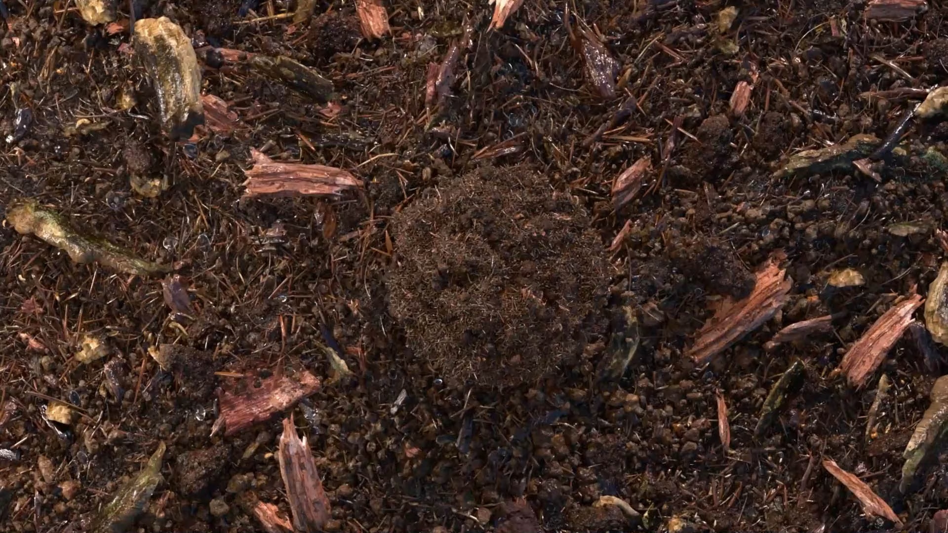 composted soil