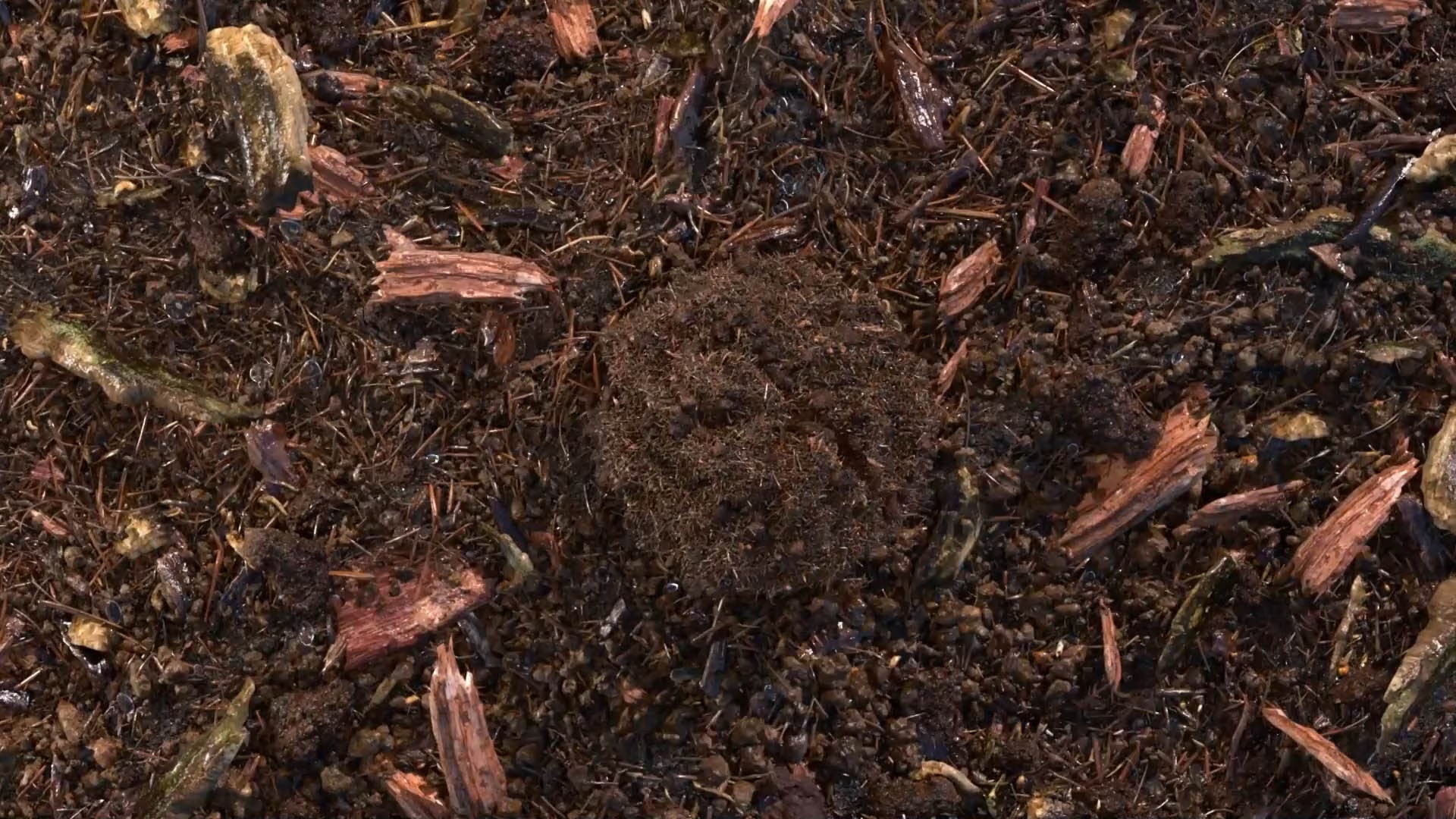 composted soil