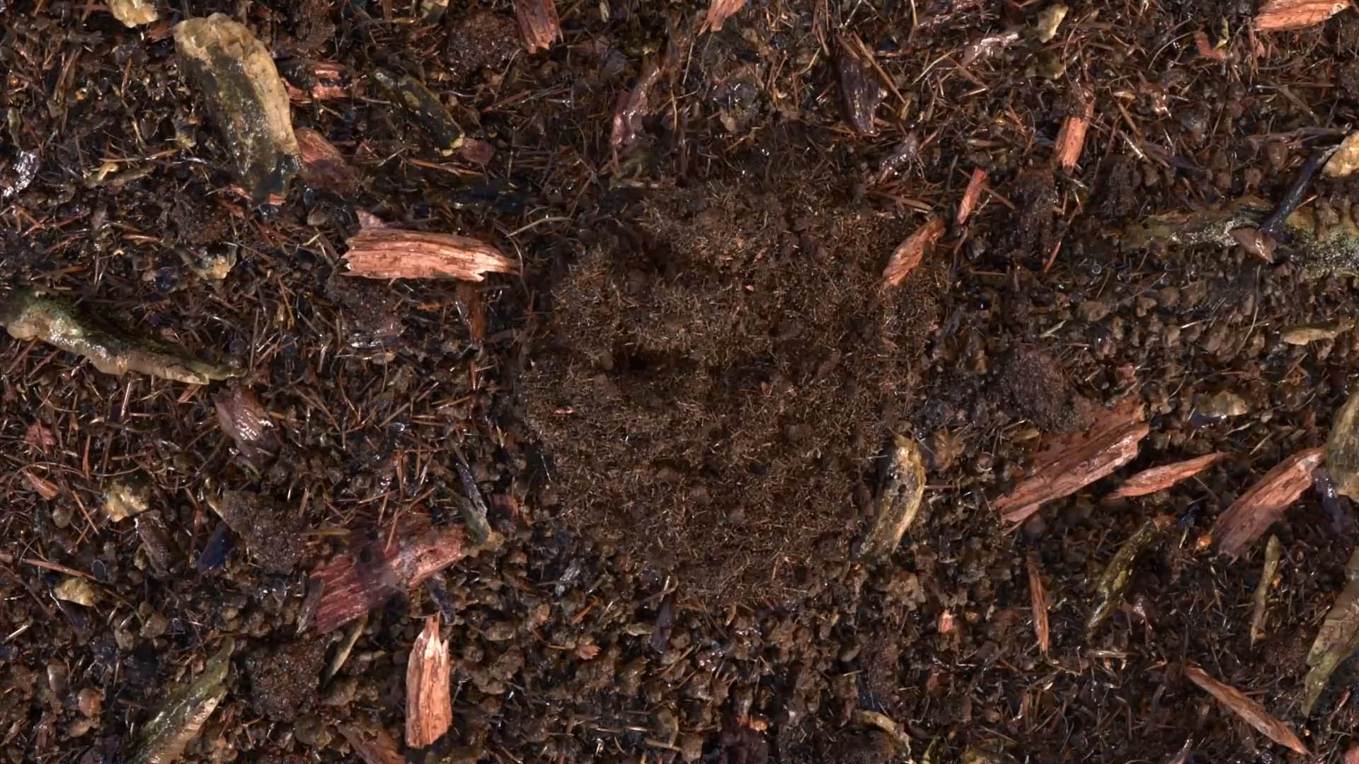 composted soil