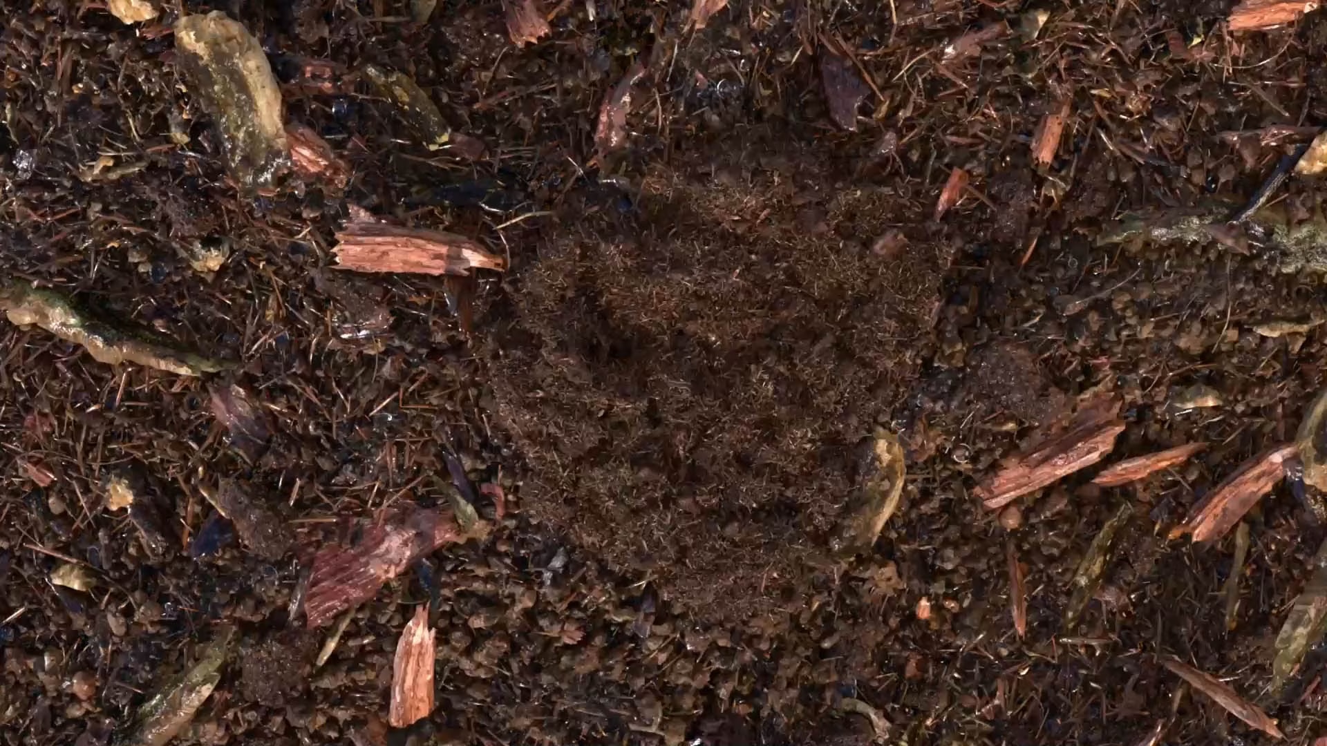 composted soil