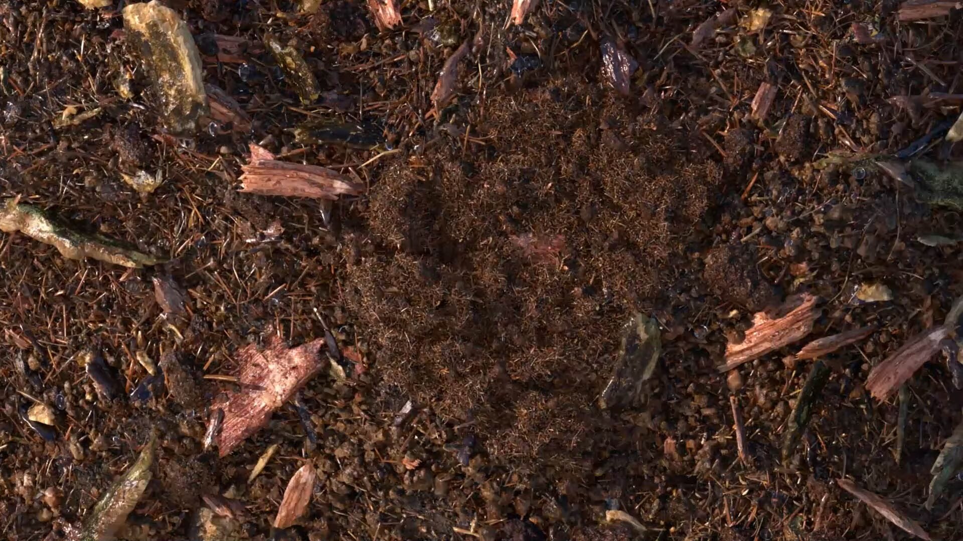 composted soil