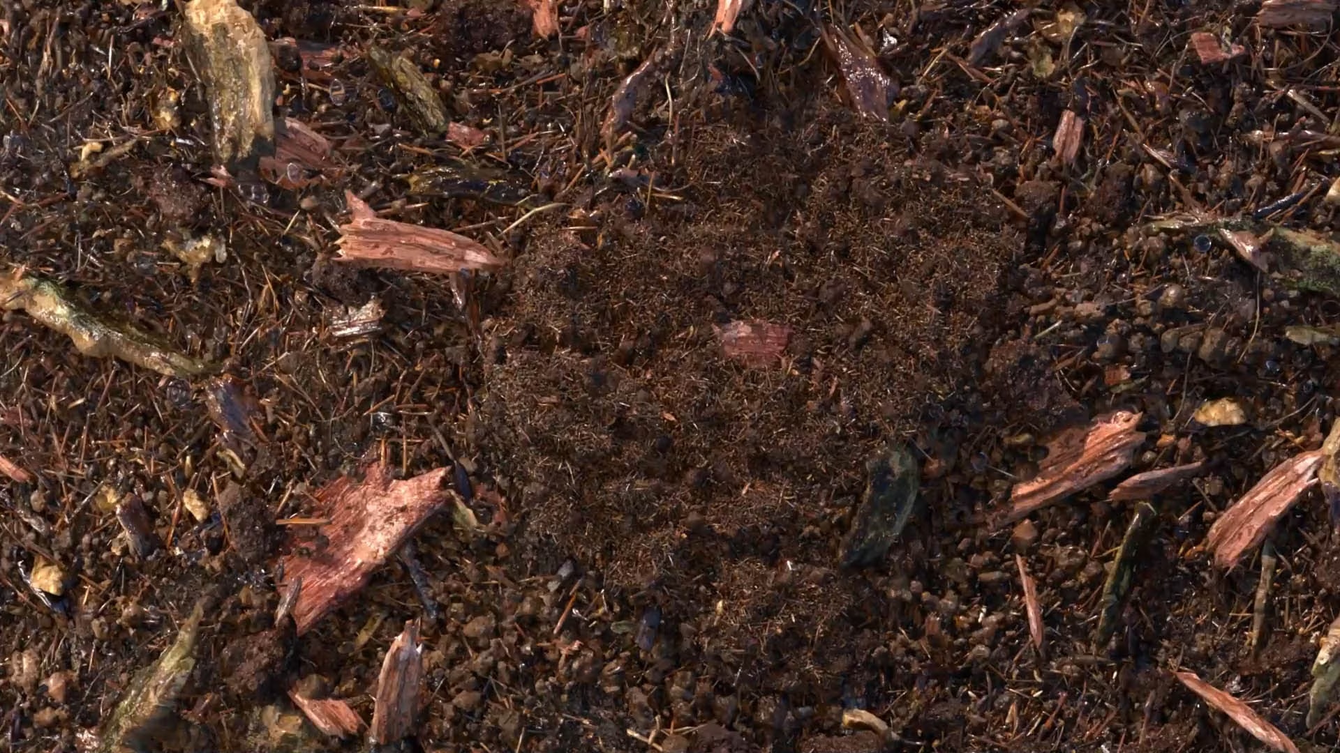 composted soil