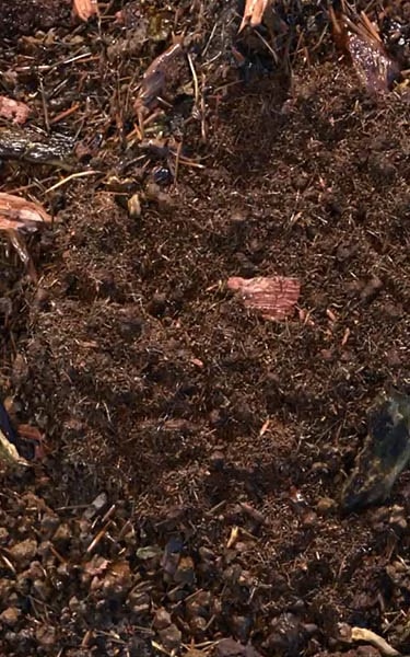 composted soil