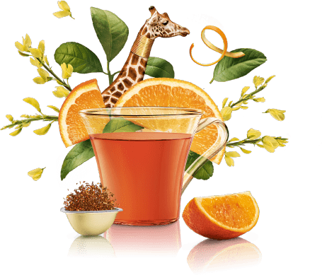 Rooibos Rooibos Orange